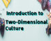 Two-Dimensional Culture