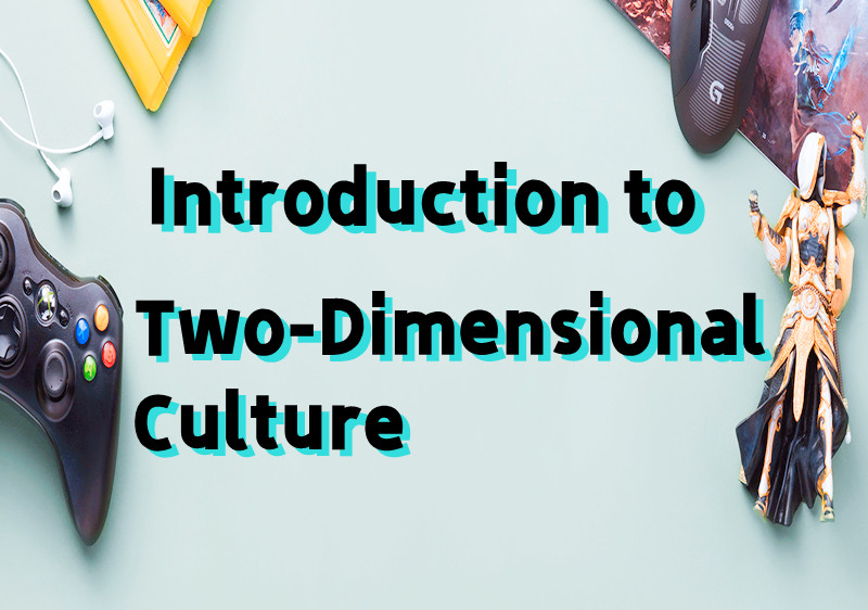 Two-Dimensional Culture